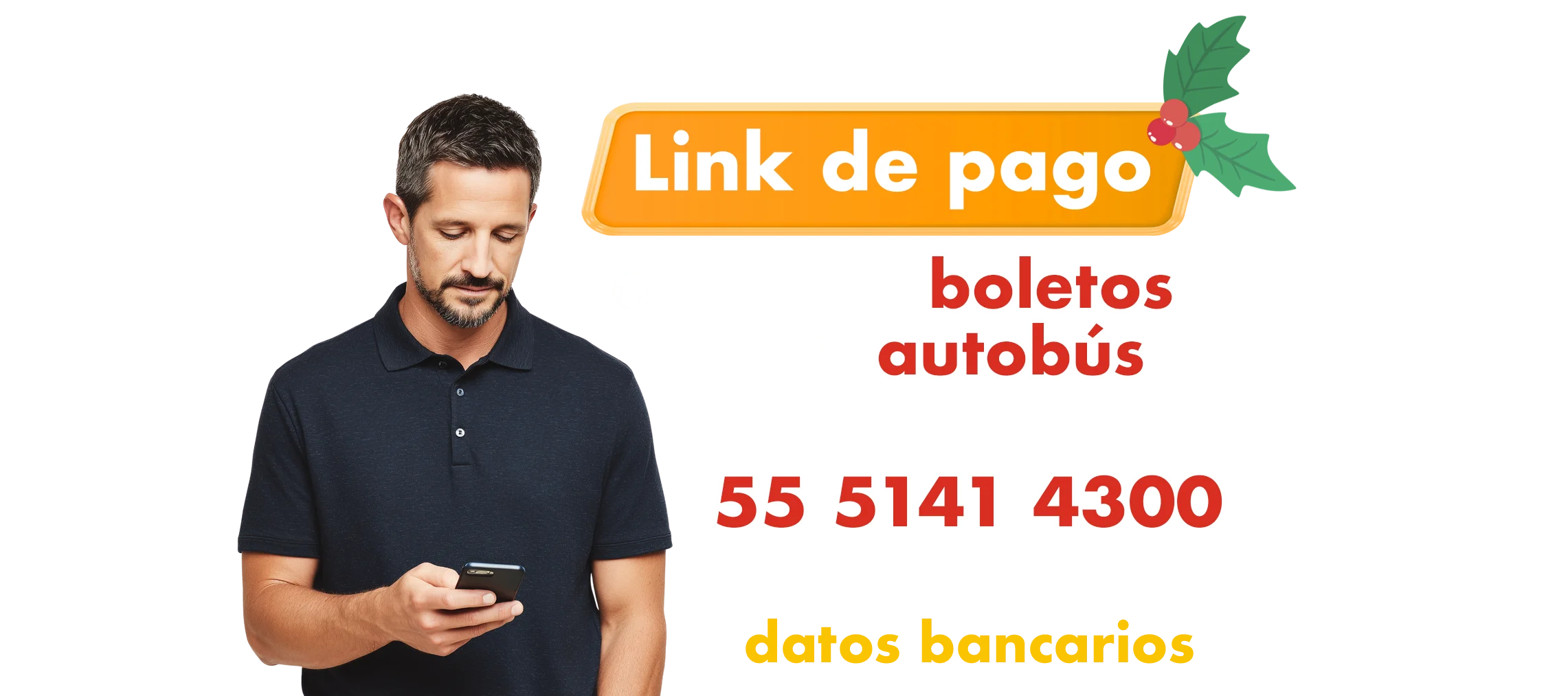 Link de pago