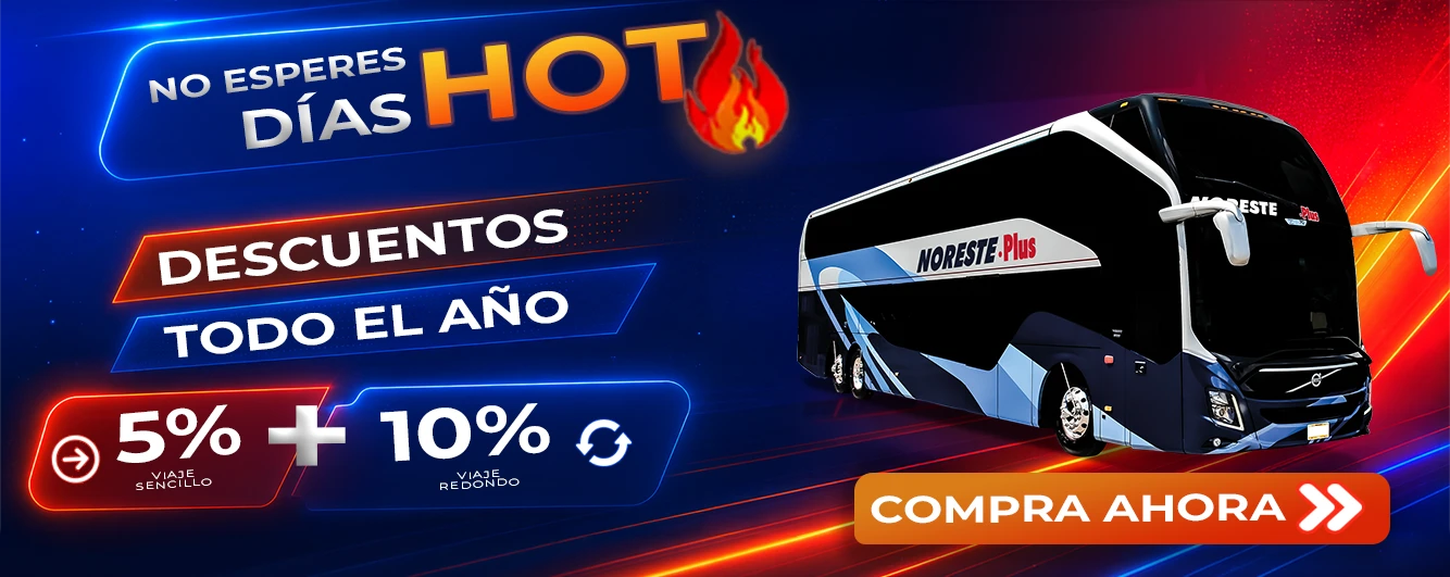 noreste hotsale